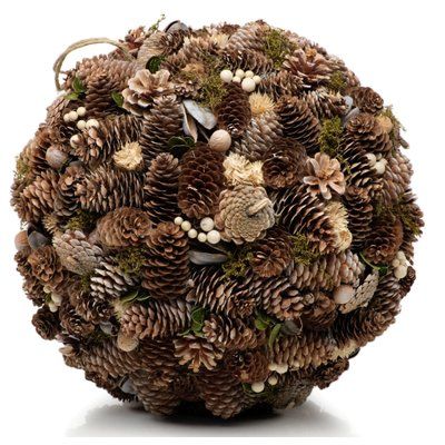 Gracie Oaks Assorted Pinecone Decorative Vising Ball Ornament Размер: