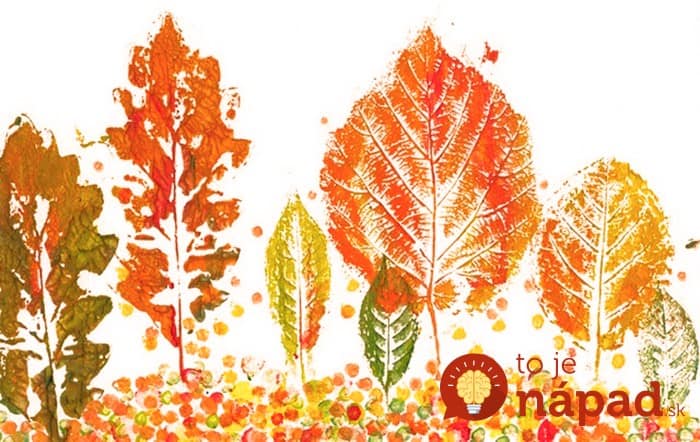 Започнете да събирате паднали листа, можете да имате това напълно безплатно през есента: 25 невероятни идеи за красиви декорации!